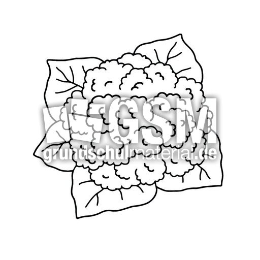 Blumenkohl_sw.jpg